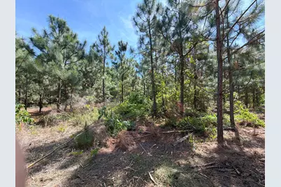 Hrf 7 Holstein Road #Hrf 7, Wagener, SC 29164 - Photo 4