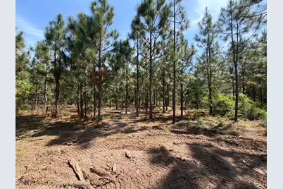 Hrf 7 Holstein Road #Hrf 7, Wagener, SC 29164 - Photo 8