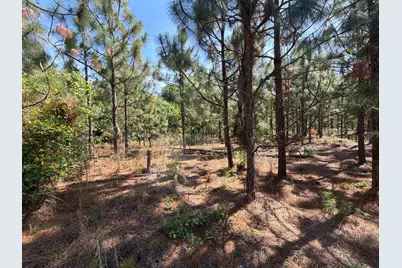 Hrf 7 Holstein Road #Hrf 7, Wagener, SC 29164 - Photo 10