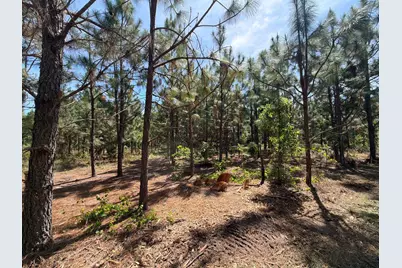 Hrf 7 Holstein Road #Hrf 7, Wagener, SC 29164 - Photo 2