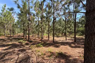 Hrf 8 Holstein Rd, Wagener, SC 29164 - Photo 1