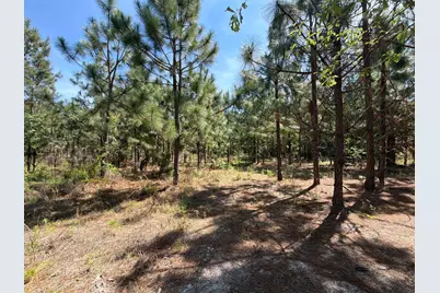 Hrf 8 Holstein Road #Hrf 8, Wagener, SC 29164 - Photo 6
