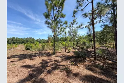 Hrf 8 Holstein Road #Hrf 8, Wagener, SC 29164 - Photo 10