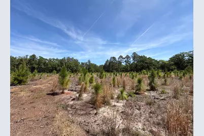 Hrf 8 Holstein Road #Hrf 8, Wagener, SC 29164 - Photo 16
