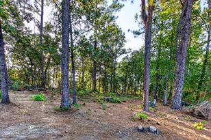 16091 Hartsville-Ruby Rd, Hartsville, SC 29550 - Photo 44