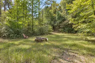 4719 Banks Mill Rd SE, Aiken, SC 29803 - Photo 52
