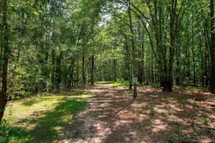 157 Promised Land Rd, Edgefield, SC 29824 - Photo 12