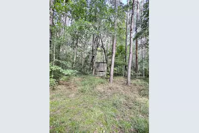 157 Promised Land Road, Edgefield, SC 29824 - Photo 8