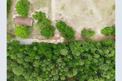 0 Lot 5, Holiness Church Road, Wagener, SC 29164 - Photo 4