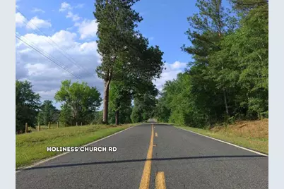 0 Lot 5, Holiness Church Road, Wagener, SC 29164 - Photo 8