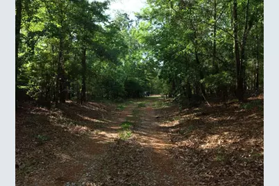0 Lot 5, Holiness Church Road, Wagener, SC 29164 - Photo 12