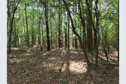 0 Lot 5, Holiness Church Road, Wagener, SC 29164 - Photo 14