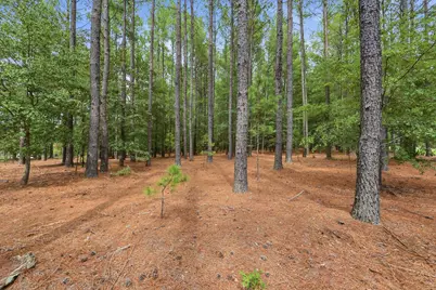 707 Mount Ebal Road, Batesburg-Leesville, SC 29006 - Photo 44