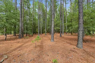 707 Mt Ebal Rd, Batesburg-Leesville, SC 29006 - Photo 44