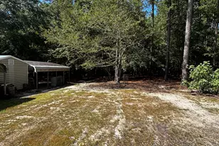 707 Mt Ebal Rd, Batesburg-Leesville, SC 29006 - Photo 20