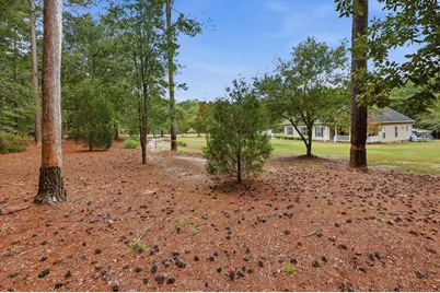707 Mount Ebal Road, Batesburg-Leesville, SC 29006 - Photo 40
