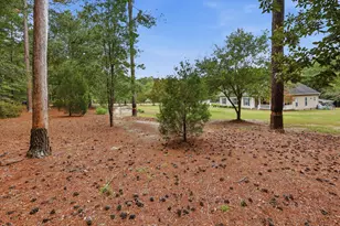 707 Mt Ebal Rd, Batesburg-Leesville, SC 29006 - Photo 40