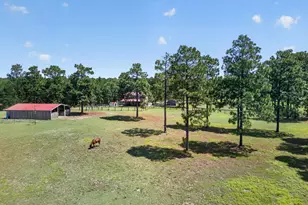 9024 Rainbow Rdg Cir, Windsor, SC 29856 - Photo 56