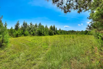 170 Landing Road, Jackson, SC 29831 - Photo 24