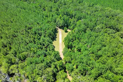 170 Landing Road, Jackson, SC 29831 - Photo 66