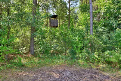 170 Landing Road, Jackson, SC 29831 - Photo 14
