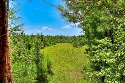 170 Landing Road, Jackson, SC 29831 - Photo 26