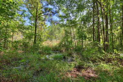 170 Landing Road, Jackson, SC 29831 - Photo 38
