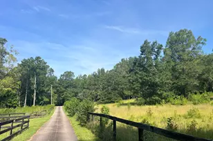 856 Tookie Doo Ln, Elgin, SC 29045 - Photo 4