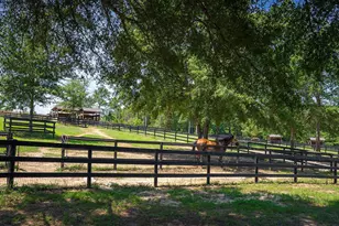 721 Riding Ridge Ct, Aiken, SC 29801 - Photo 10
