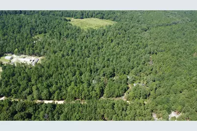 196 Brandy Street, Wagener, SC 29164 - Photo 6