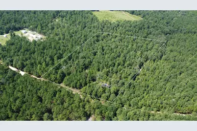 196 Brandy Street, Wagener, SC 29164 - Photo 2