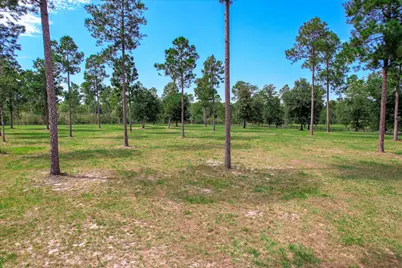 252 Paddock Clb Parkway, Aiken, SC 29803 - Photo 48
