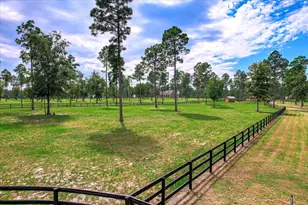 252 Paddock Clb Pkwy, Aiken, SC 29803 - Photo 46
