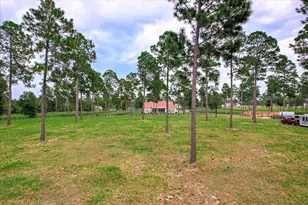 252 Paddock Clb Pkwy, Aiken, SC 29803 - Photo 50