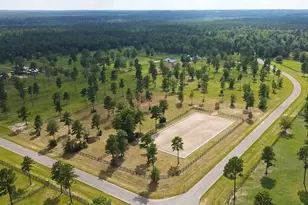 252 Paddock Clb Pkwy, Aiken, SC 29803 - Photo 40