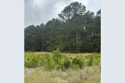 402 State Rd S-6-537, Barnwell, SC 29812 - Photo 4