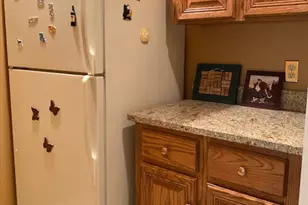 313 Live Oak Rd, Aiken, SC 29803 - Photo 58