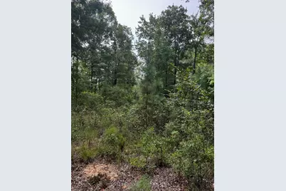 00 Gabe Rd Road, Saluda, SC 29138 - Photo 1