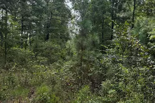 00 Gabe Rd Rd, Saluda, SC 29138 - Photo 1