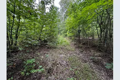 00 Gabe Rd Road, Saluda, SC 29138 - Photo 2