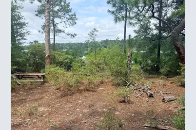 731 Edisto Lake Road, Wagener, SC 29164 - Photo 14