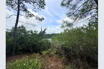731 Edisto Lake Road, Wagener, SC 29164 - Photo 2
