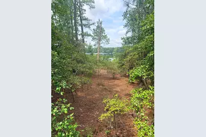 731 Edisto Lake Road, Wagener, SC 29164 - Photo 16