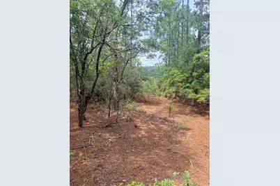 731 Edisto Lake Road, Wagener, SC 29164 - Photo 12