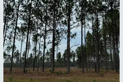 1421/Lot13 Cooks Bridge Road, Aiken, SC 29805 - Photo 2