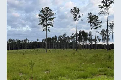 00 NW Ryndi, Aiken, SC 29805 - Photo 1