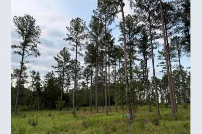 00 NW Ryndi, Aiken, SC 29805 - Photo 12