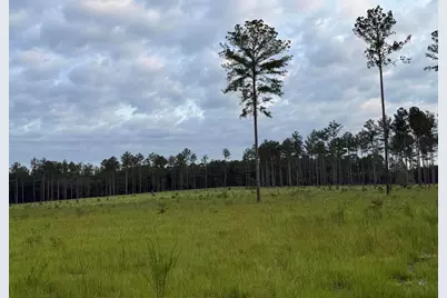 00 NW Ryndi, Aiken, SC 29805 - Photo 6