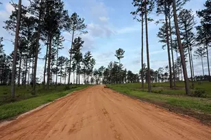 Lot #38 NW Ryndi Ln, Aiken, SC 29805 - Photo 1