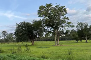 00 NW Ryndi, Aiken, SC 29805 - Photo 1